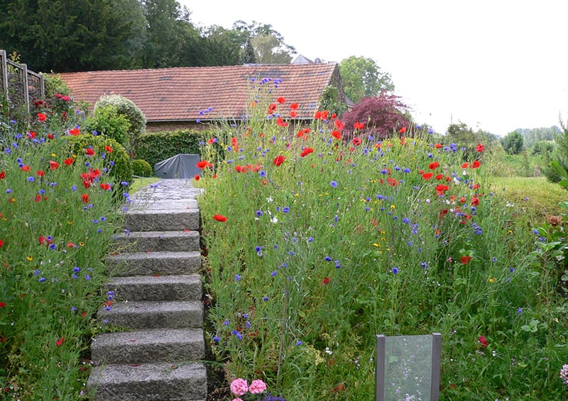 Garten von Adolf Gärtner mit Treppe in der Mitte